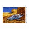 Manyetix Van Gogh Öğle Molası Posteri 3