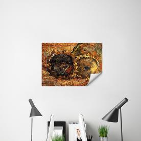 Manyetix Van Gogh Natü