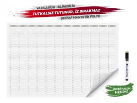 Manyetix Süresiz Yıllı